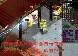 �����¿�����ְҵ���湥�Դ�ȫ����ռ�Ȼ����ư��귨
