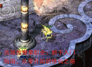 西域传奇单职业:新手入门指南,从零开始的修仙之路 西域传奇单职业:新手入门指南,从零开始的修仙之路