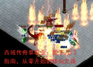 西域传奇单职业:新手入门指南,从零开始的修仙之路 西域传奇单职业:新手入门指南,从零开始的修仙之路