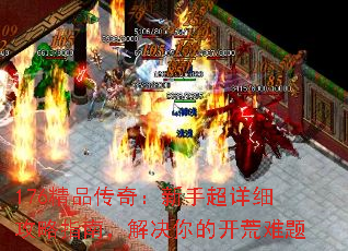 176��Ʒ���棺���ֳ���ϸ����ָ�ϣ������Ŀ�������