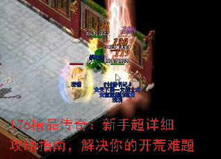 176��Ʒ���棺���ֳ���ϸ����ָ�ϣ������Ŀ�������