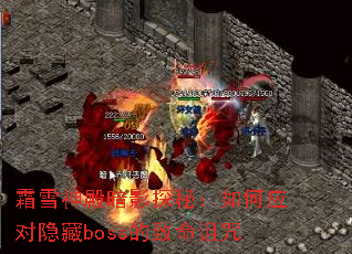 霜雪神殿暗影探秘:如何应对隐藏boss的致命诅咒 霜雪神殿暗影探秘:如何应对隐藏boss的致命诅咒