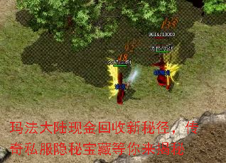 玛法大陆现金回收新秘径,传奇私服隐秘宝藏等你来揭秘 玛法大陆现金回收新秘径,传奇私服隐秘宝藏等你来揭秘