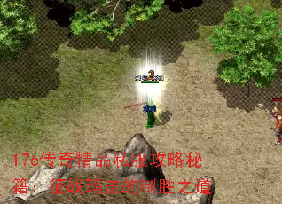 176传奇精品私服攻略秘籍:征战玛法的制胜之道 176传奇精品私服攻略秘籍:征战玛法的制胜之道