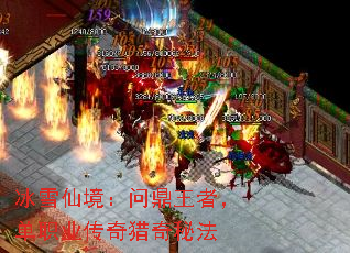 冰雪仙境:问鼎王者,单职业传奇猎奇秘法 冰雪仙境:问鼎王者,单职业传奇猎奇秘法