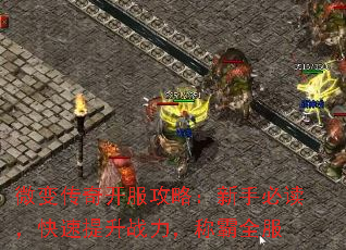 微变传奇开服攻略:新手必读,快速提升战力,称霸全服 微变传奇开服攻略:新手必读,快速提升战力,称霸全服