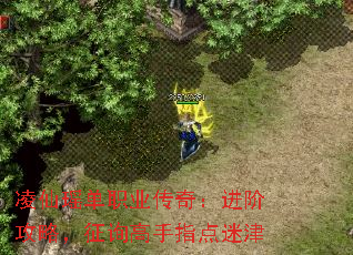 凌仙瑶单职业传奇:进阶攻略,征询高手指点迷津 凌仙瑶单职业传奇:进阶攻略,征询高手指点迷津