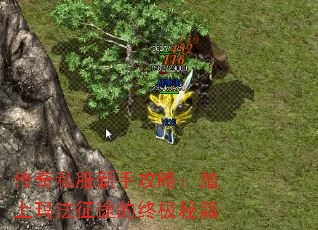 传奇私服新手攻略:踏上玛法征途的终极秘籍 传奇私服新手攻略:踏上玛法征途的终极秘籍