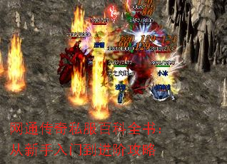 ��ͨ����˽���ٿ�ȫ�飺���������ŵ����׹���