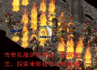 ����˽��SF����棺�ư��귨��̽��δ֪���ܹ���ָ��