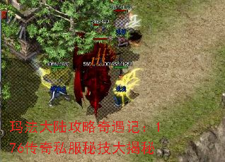 玛法大陆攻略奇遇记:176传奇私服秘技大揭秘 玛法大陆攻略奇遇记:176传奇私服秘技大揭秘