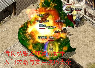 ����˽��֮SFƪ���������Ź�����ʵ�ü��ɴ�ȫ