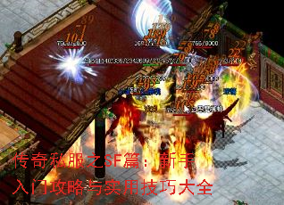 ����˽��֮SFƪ���������Ź�����ʵ�ü��ɴ�ȫ