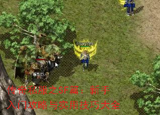 ����˽��֮SFƪ���������Ź�����ʵ�ü��ɴ�ȫ
