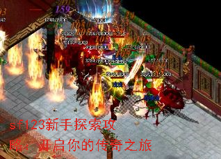 sf123新手探索攻略:开启你的传奇之旅 sf123新手探索攻略:开启你的传奇之旅