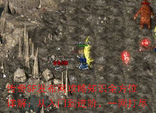 传奇SF发布网攻略知识全方位详解:从入门到进阶,一网打尽 传奇SF发布网攻略知识全方位详解:从入门到进阶,一网打尽