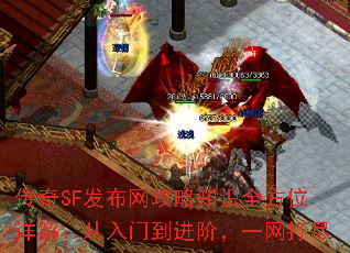 传奇SF发布网攻略知识全方位详解:从入门到进阶,一网打尽 传奇SF发布网攻略知识全方位详解:从入门到进阶,一网打尽