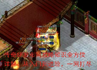 传奇SF发布网攻略知识全方位详解:从入门到进阶,一网打尽 传奇SF发布网攻略知识全方位详解:从入门到进阶,一网打尽