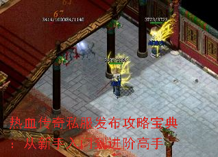 热血传奇私服发布攻略宝典:从新手入门到进阶高手 热血传奇私服发布攻略宝典:从新手入门到进阶高手
