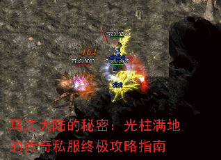 �귨��½�����ܣ��������صĴ���˽���ռ�����ָ��