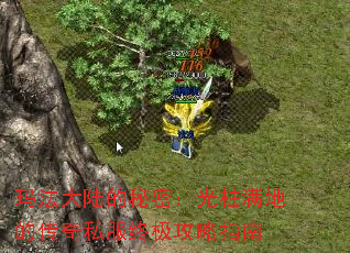 �귨��½�����ܣ��������صĴ���˽���ռ�����ָ��