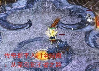 传奇新手入门全指南:从菜鸟到王者之路 传奇新手入门全指南:从菜鸟到王者之路