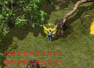热血传奇SF狂热攻顶,诸神争霸,谁主沉浮? 热血传奇SF狂热攻顶,诸神争霸,谁主沉浮?