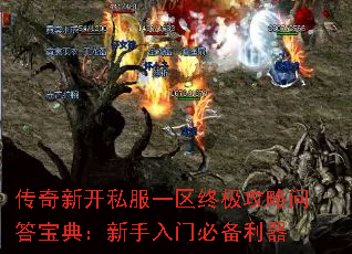 传奇新开私服一区终极攻略问答宝典:新手入门必备利器 传奇新开私服一区终极攻略问答宝典:新手入门必备利器