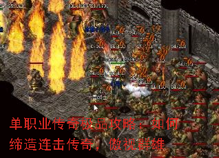 ��ְҵ���漫Ʒ���ԣ���ε����������棬����Ⱥ��