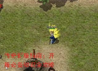 传奇新服指南:开服必备知识全攻略 传奇新服指南:开服必备知识全攻略