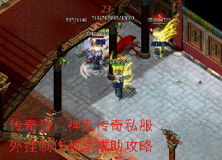 ����磺�������˽�����������ѧ��������