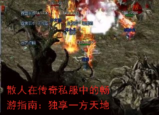 ɢ���ڴ���˽���еĳ���ָ�ϣ�����һ�����