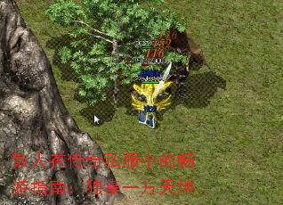 ɢ���ڴ���˽���еĳ���ָ�ϣ�����һ�����