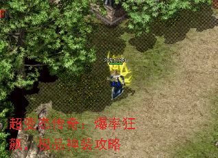 ����̬���棺���ʿ�쭣���Ʒ��װ����