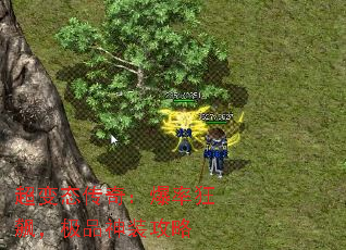 ����̬���棺���ʿ�쭣���Ʒ��װ����