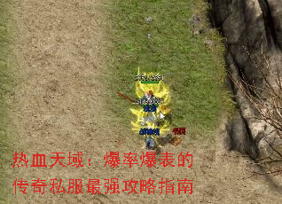 ��Ѫ���򣺱��ʱ����Ĵ���˽����ǿ����ָ��