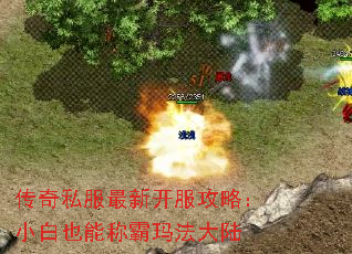 传奇私服最新开服攻略:小白也能称霸玛法大陆 传奇私服最新开服攻略:小白也能称霸玛法大陆