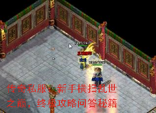 传奇私服:新手横扫乱世之巅,终极攻略问答秘籍 传奇私服:新手横扫乱世之巅,终极攻略问答秘籍