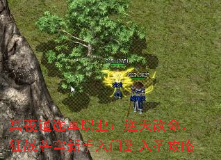 冥夜道途单职业:逆天改命,征战苍穹新手入门到入圣攻略 冥夜道途单职业:逆天改命,征战苍穹新手入门到入圣攻略