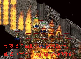 冥夜道途单职业:逆天改命,征战苍穹新手入门到入圣攻略 冥夜道途单职业:逆天改命,征战苍穹新手入门到入圣攻略