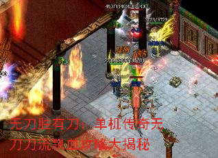 �޵�ʤ�е������������޵�����ƮѪ���Դ����