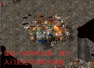 征战一辉传奇私服:新手入门到进阶攻略大揭秘 征战一辉传奇私服:新手入门到进阶攻略大揭秘