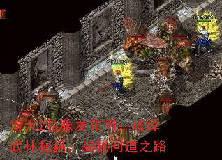 倚天2私服发布网:破译武林秘籍,揭秘问道之路 倚天2私服发布网:破译武林秘籍,揭秘问道之路