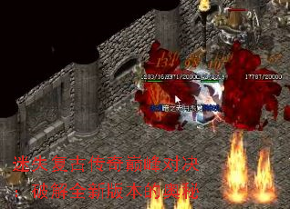 ��ʧ���Ŵ����۷�Ծ����ƽ�ȫ�°汾�İ���