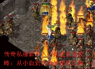 ����˽���������ŵ�����ȫ���ԣ���С�׵����еĽ���֮·