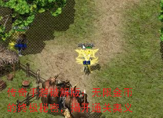 ���������ƽ�棺���޽�ҵ��ռ����ܣ��ҿ�ͨ�ذ���