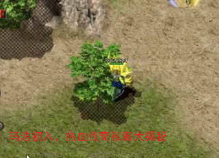 �귨���룬��Ѫ����˽�������
