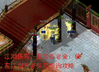 江湖侠客,莫忘养老金:侠客江湖养老保险查询攻略 江湖侠客,莫忘养老金:侠客江湖养老保险查询攻略