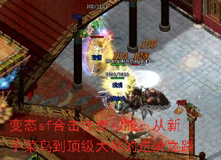 ��̬sf�ϻ�����˽���������ֲ��񵽶�������Ľ���֮·