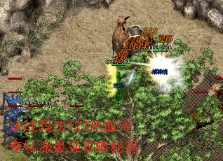 决战玛法123热血传奇私服最强攻略秘籍 决战玛法123热血传奇私服最强攻略秘籍